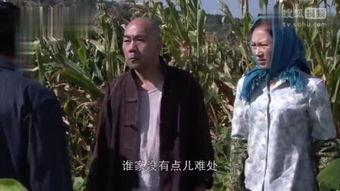 电视剧樱桃红,乱世佳人，情仇交织的烽火岁月